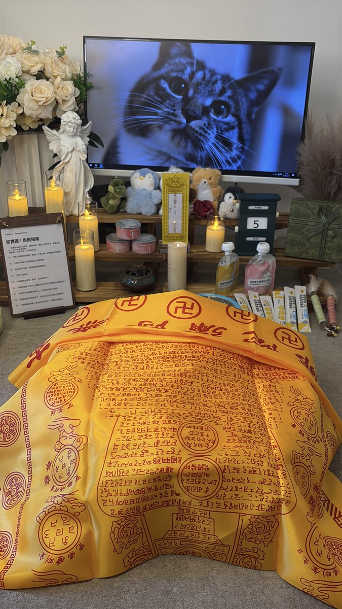 成都宠物殡葬服务实拍