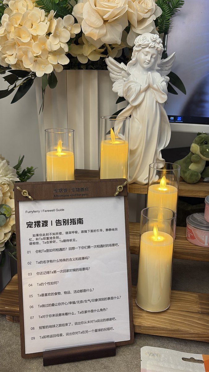 成都宠物殡葬服务实拍