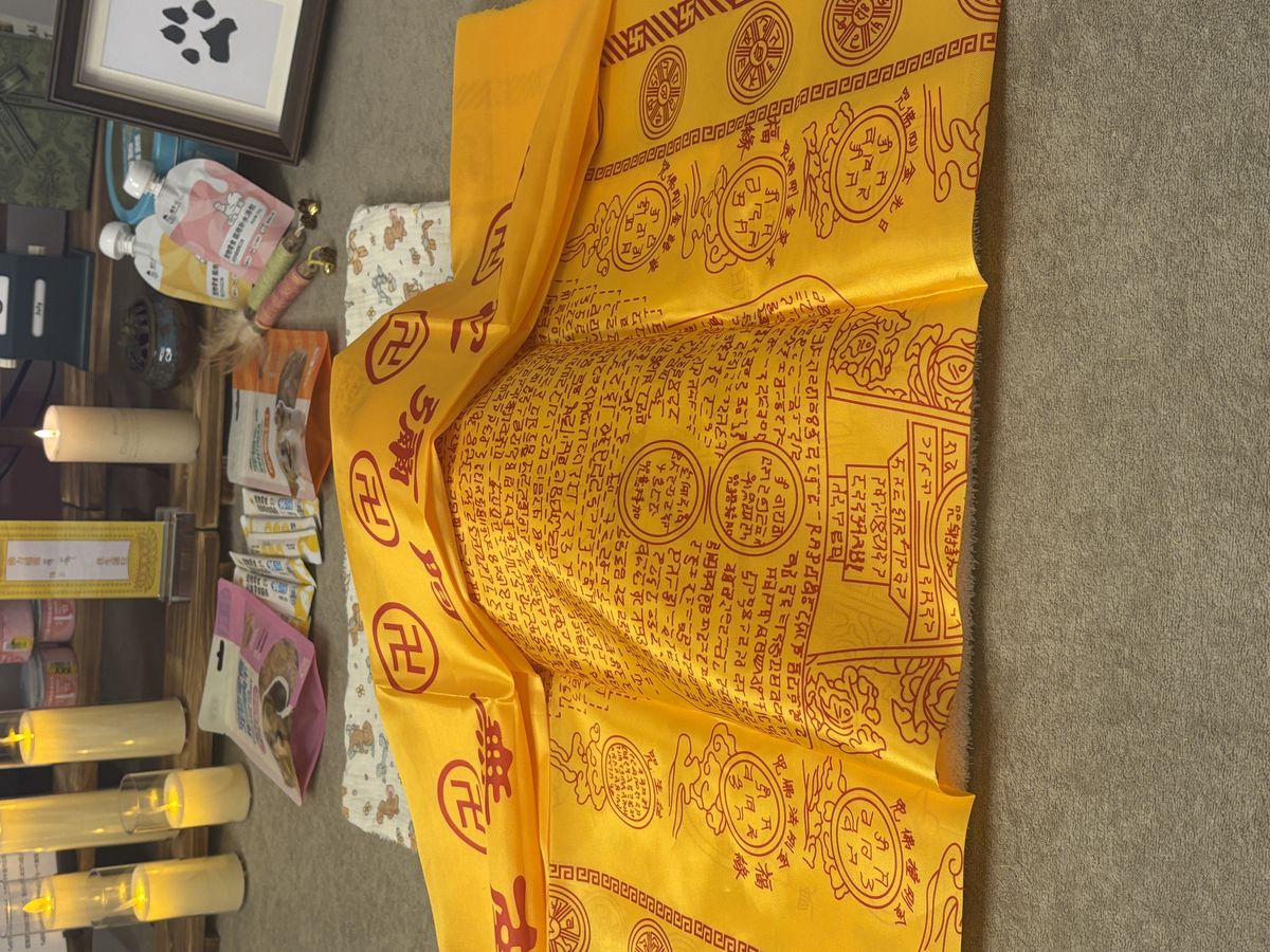成都宠物殡葬服务实拍