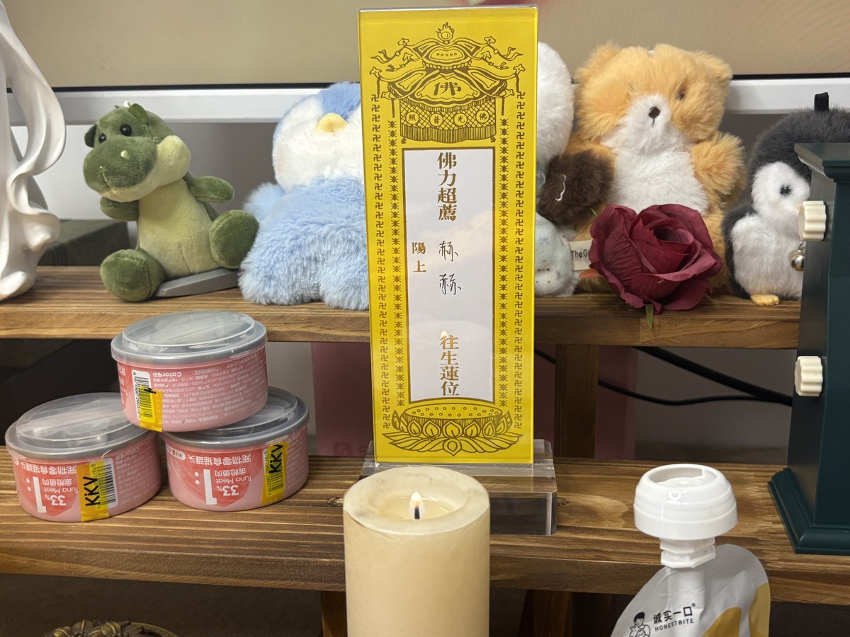 成都宠物殡葬服务实拍