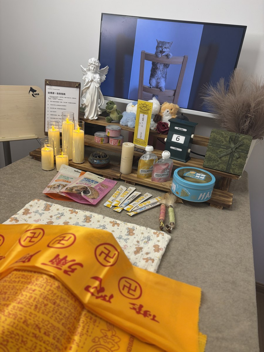 成都宠物殡葬服务实拍