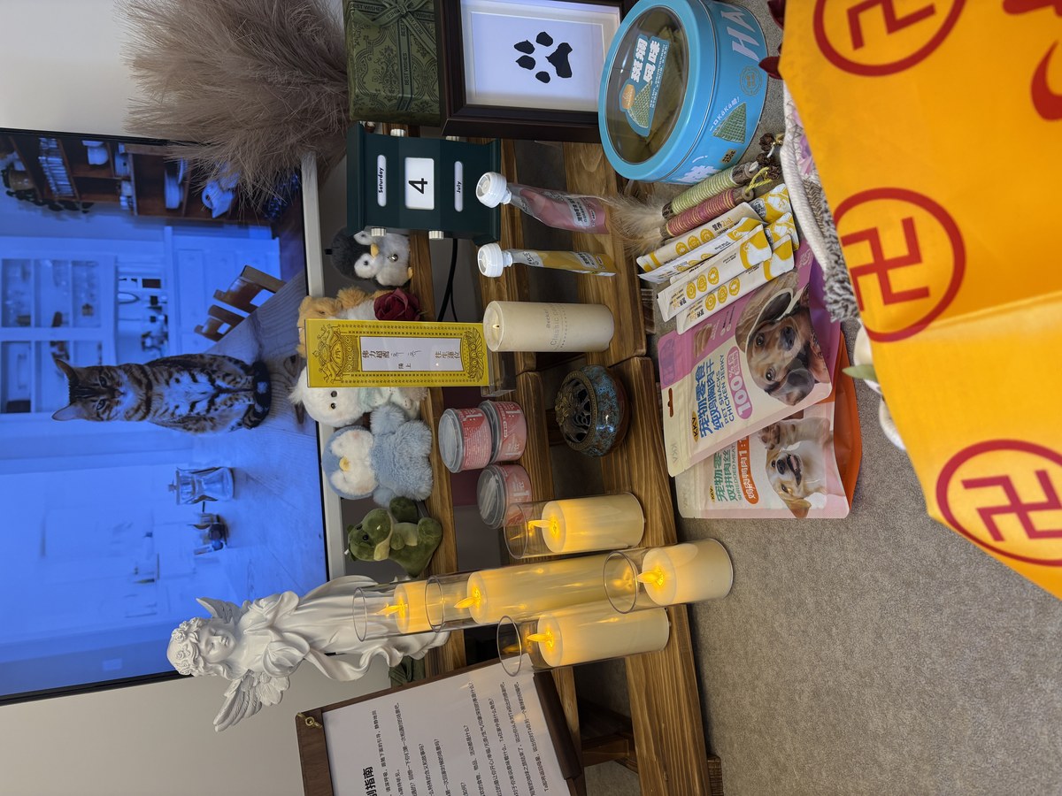 成都宠物殡葬服务实拍
