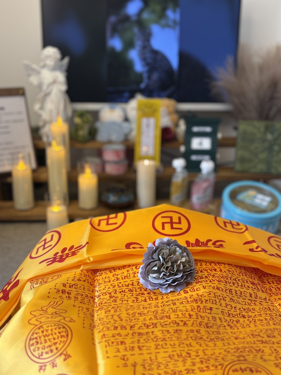 成都宠物殡葬服务实拍