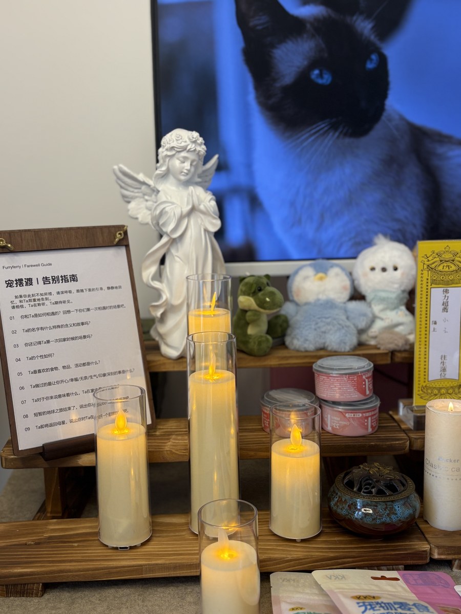 猫咪去世后如何处理？成都猫咪火化全流程说明