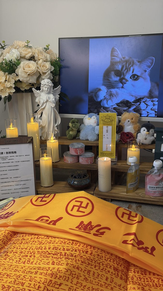 成都宠物殡葬服务实拍