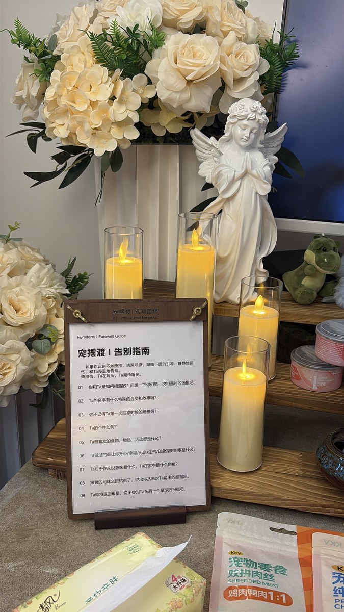 成都宠物殡葬服务实拍