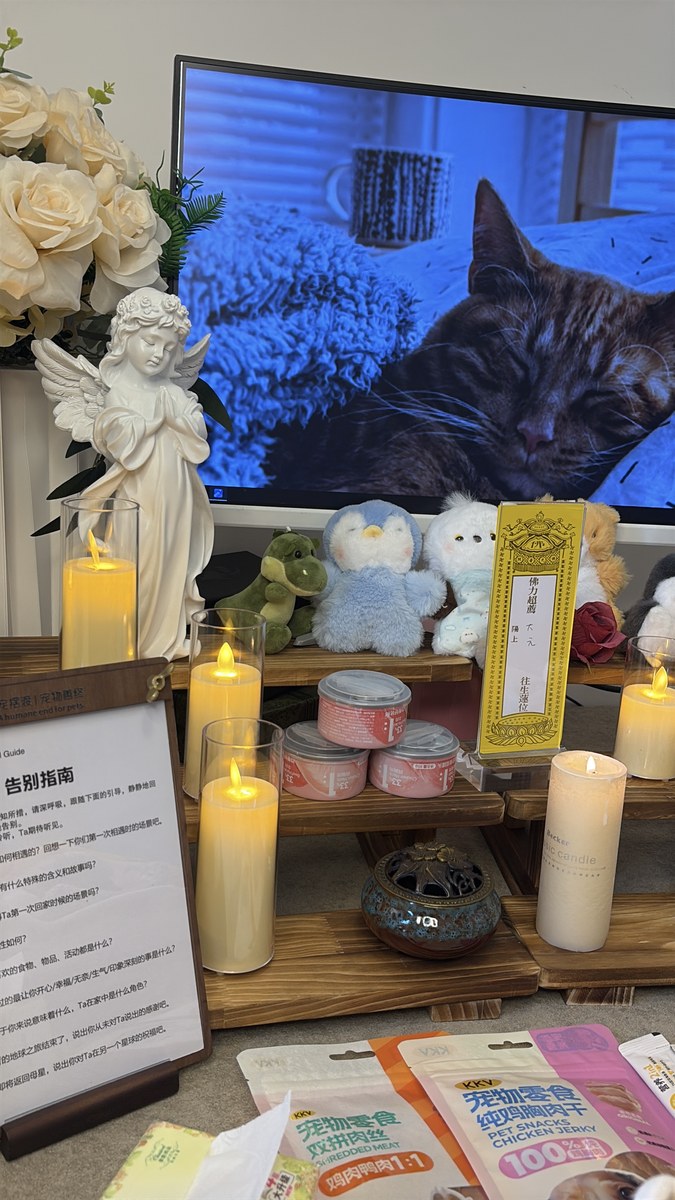 成都宠物殡葬服务实拍