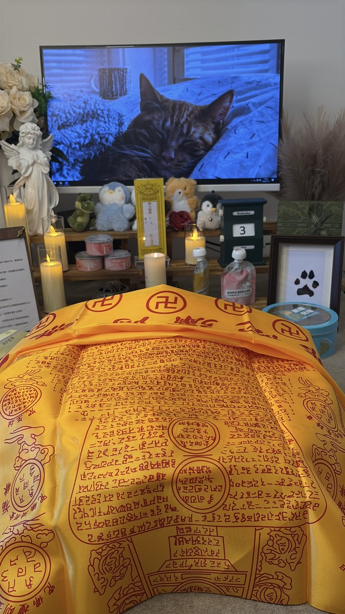 成都宠物殡葬服务实拍