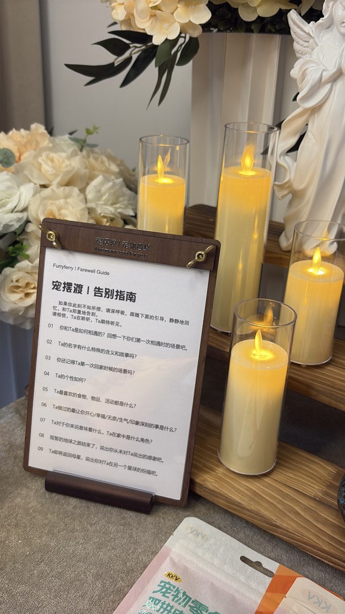 成都宠物殡葬怎么选？全流程五步走，明白了就不慌