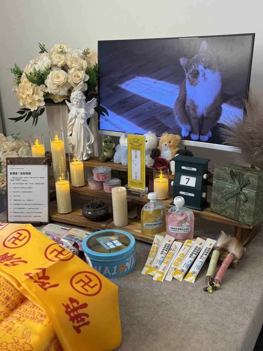 成都宠物殡葬服务实拍