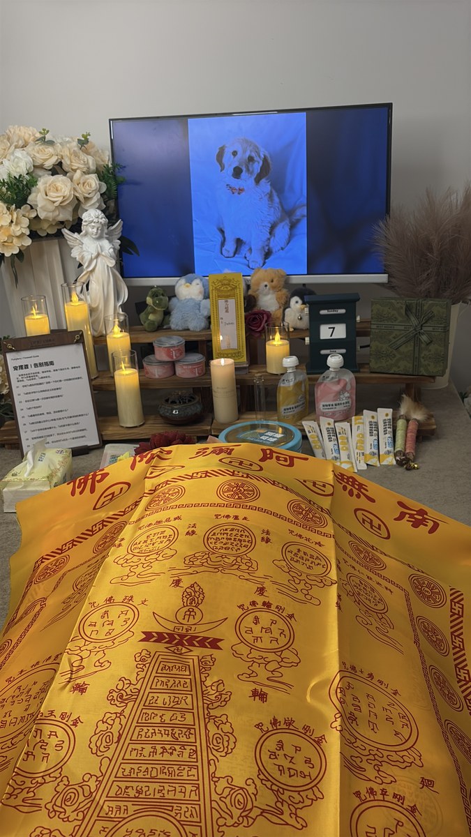成都宠物殡葬服务实拍