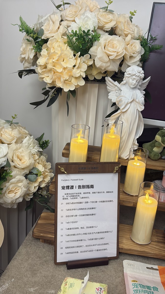 成都宠物殡葬服务实拍
