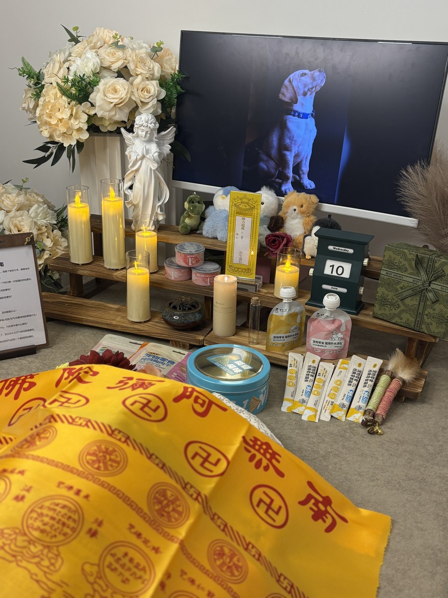 成都宠物殡葬服务实拍