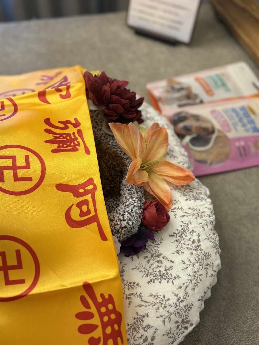成都宠物殡葬服务实拍