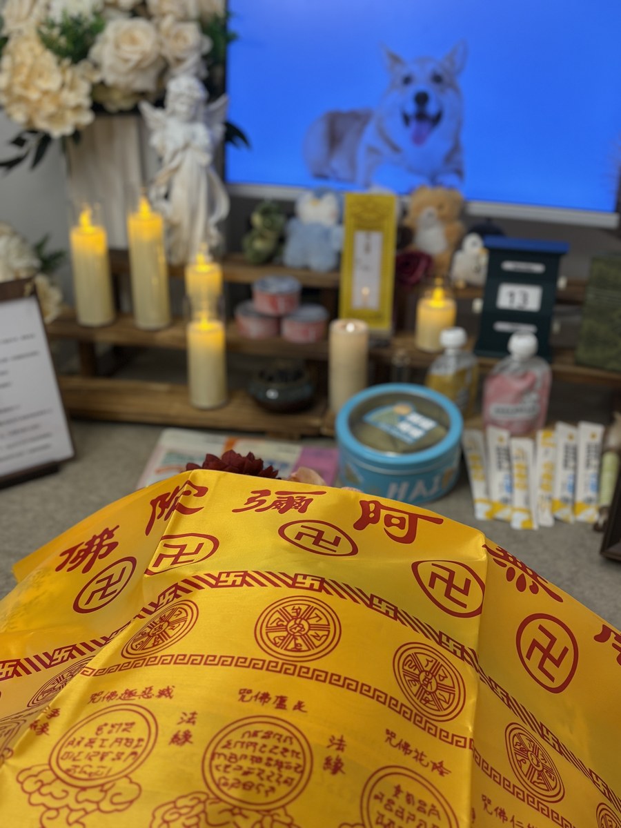 成都宠物殡葬服务实拍