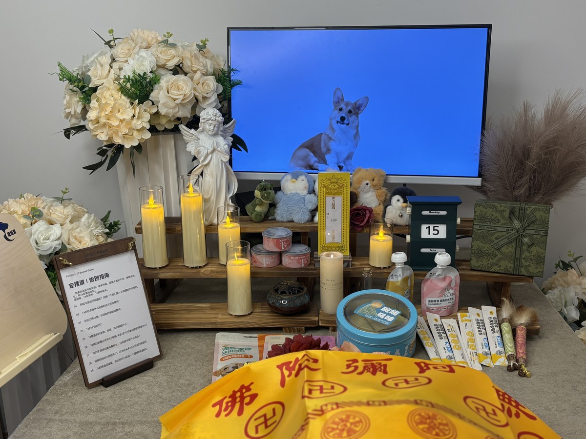成都宠物殡葬服务实拍