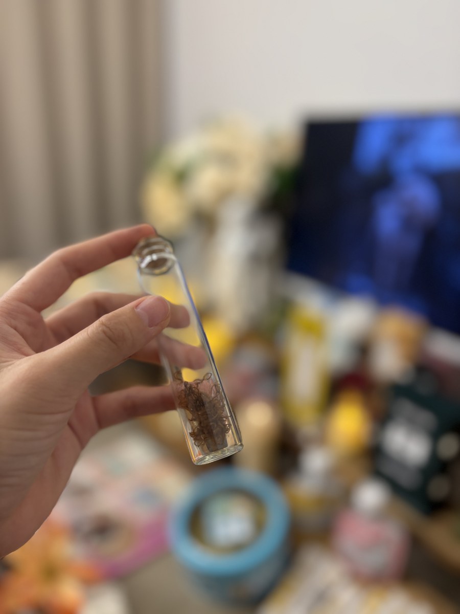 成都宠物殡葬服务实拍