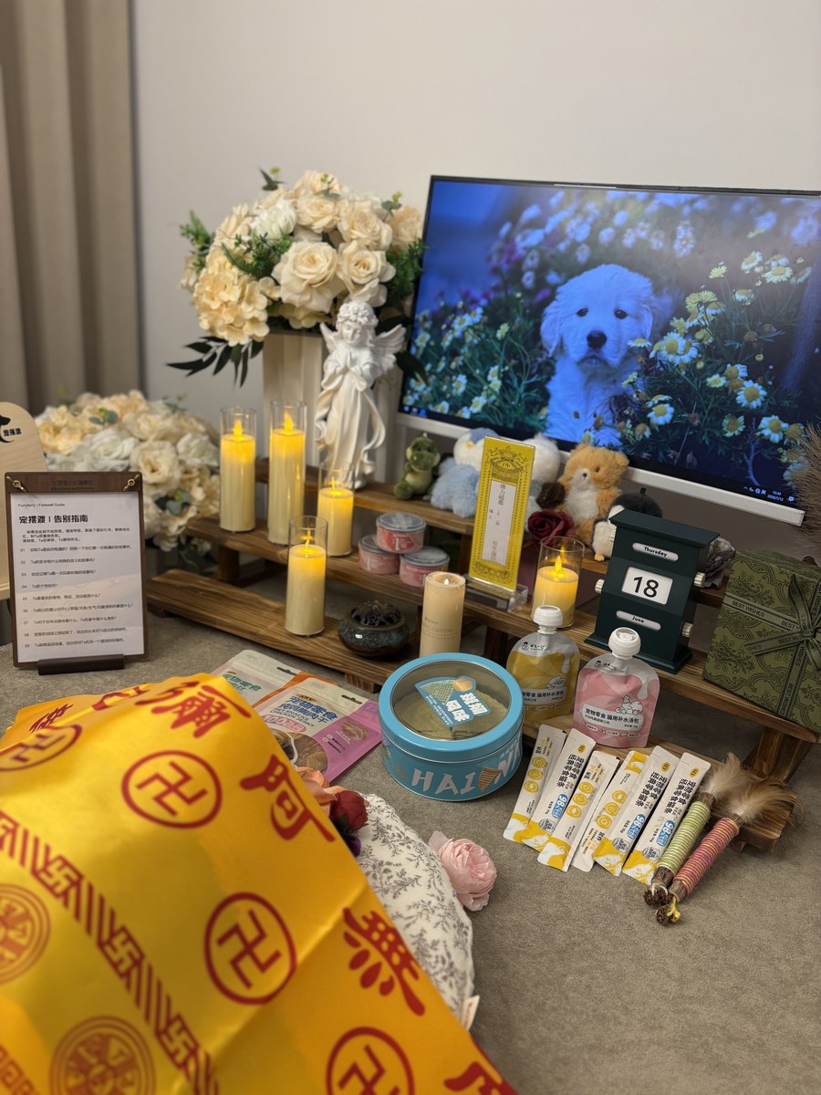 成都宠物安乐流程与费用：一份不那么沉重的说明（第18辑）