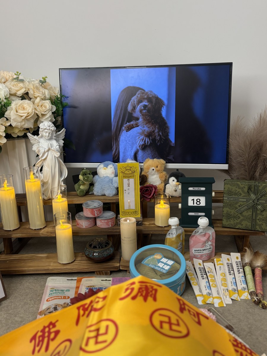 成都宠物殡葬服务实拍