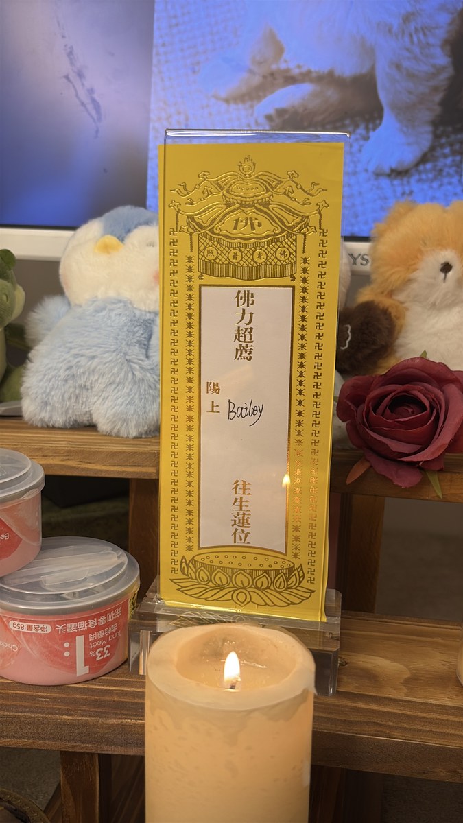 成都宠物殡葬服务实拍