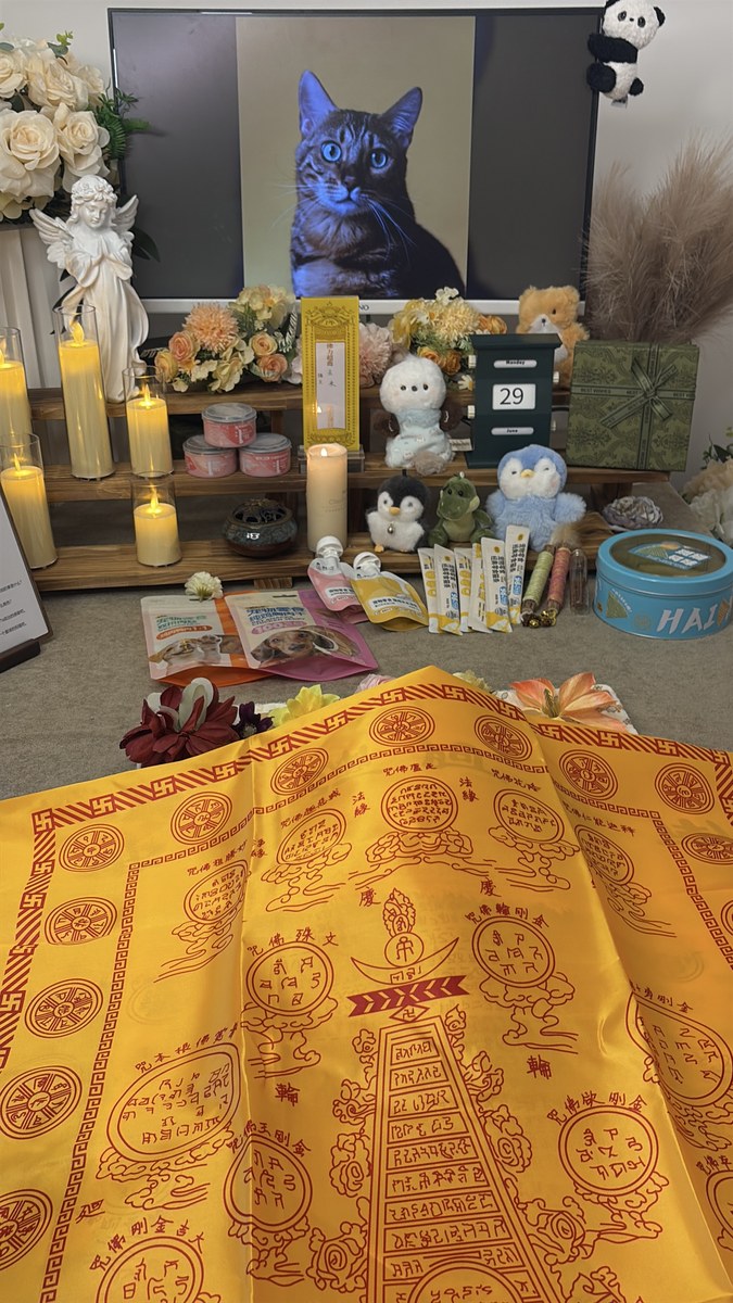 成都宠物殡葬服务实拍