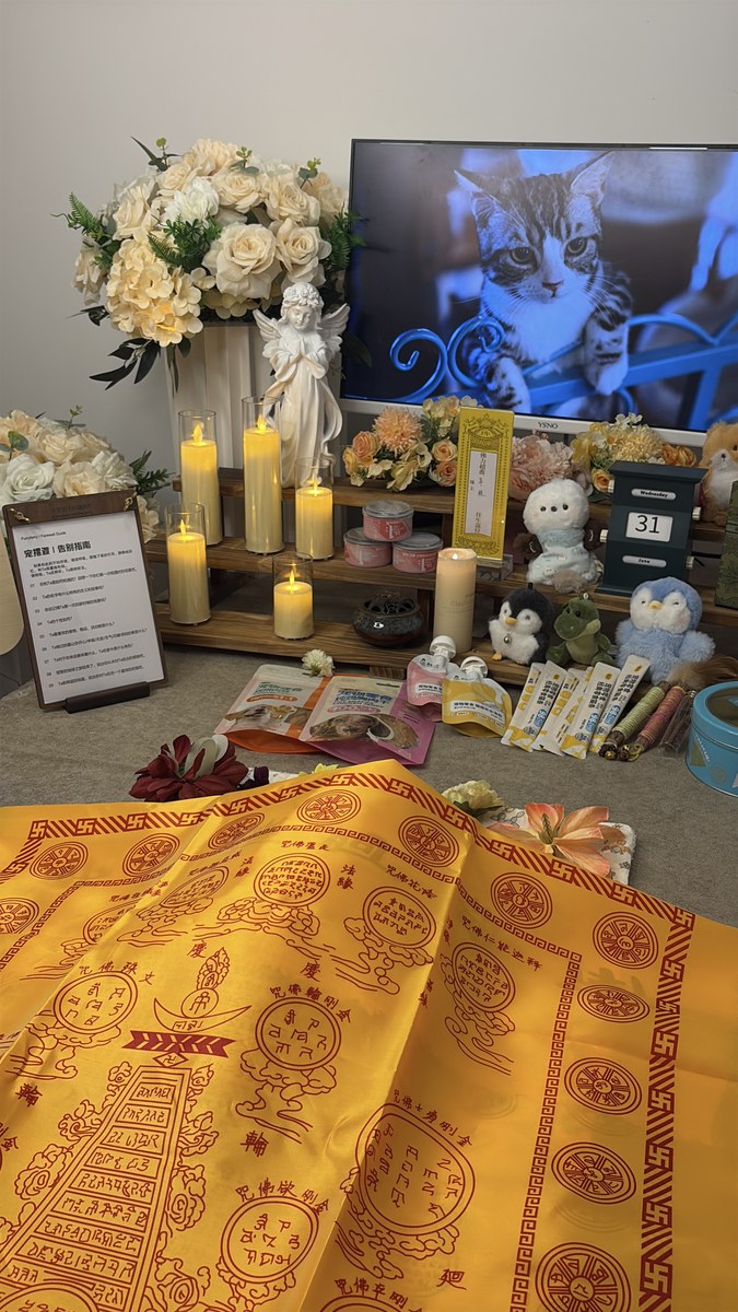 成都宠物殡葬服务实拍