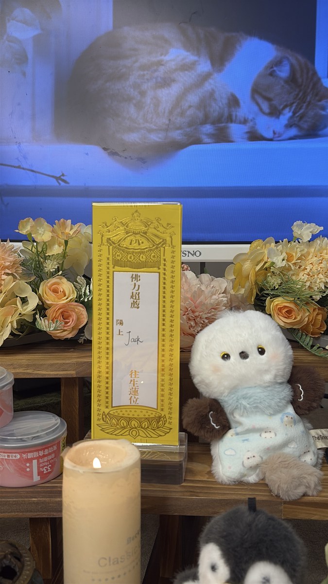 成都宠物殡葬服务全流程指南：从告别到火化的每一步（第19辑）