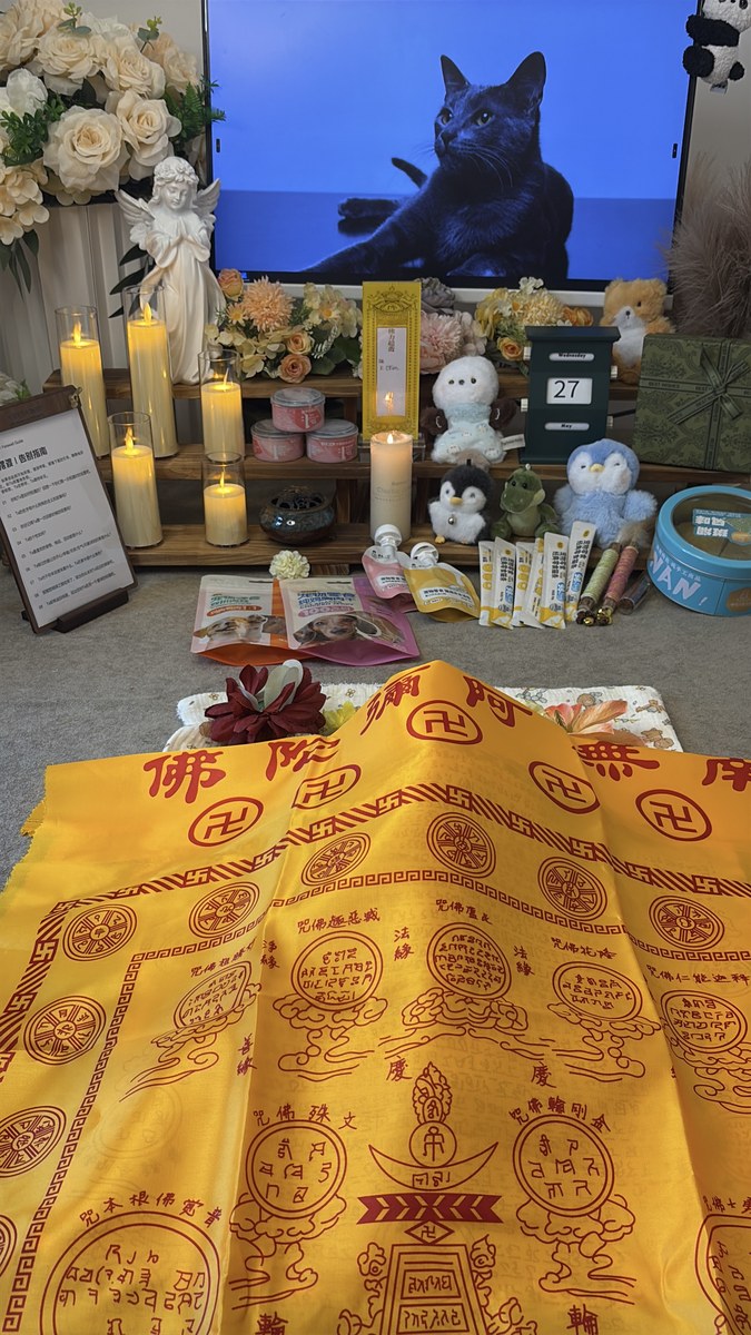 成都宠物殡葬服务实拍