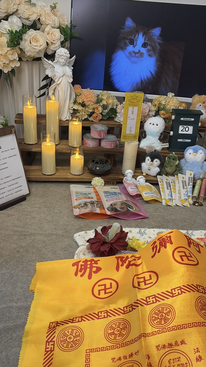 成都宠物殡葬服务实拍