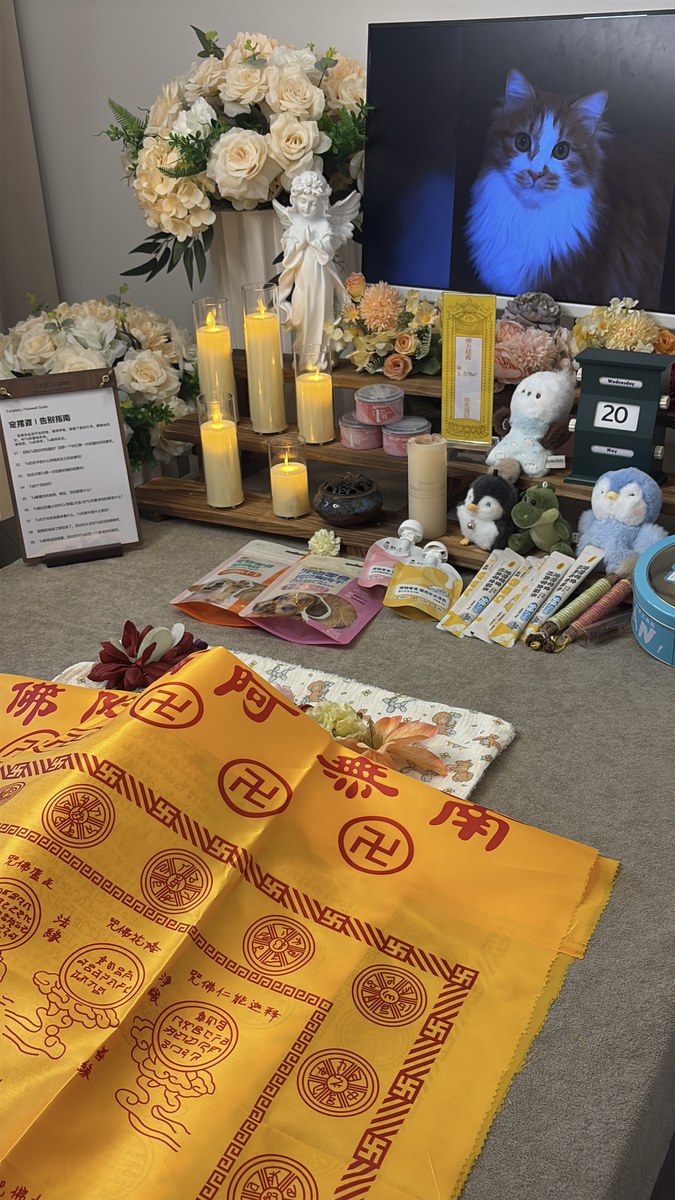 成都宠物殡葬服务实拍
