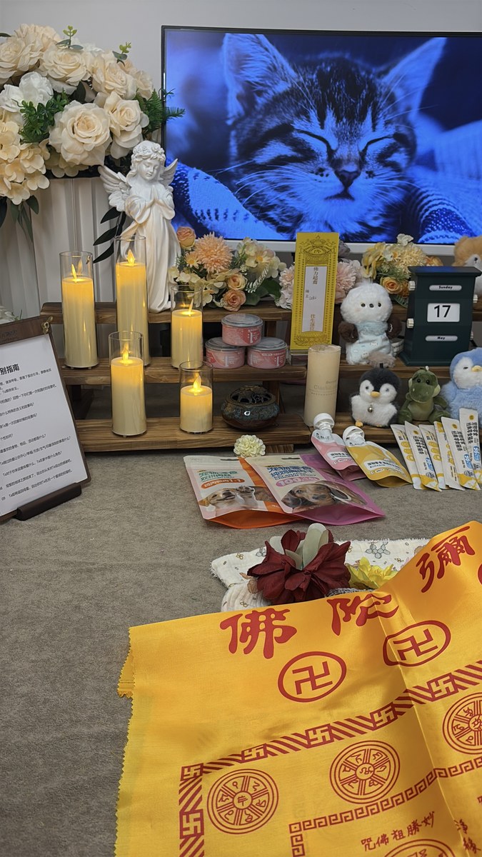 宠物火化还是土葬？成都本地合规与可行性分析（第6辑）