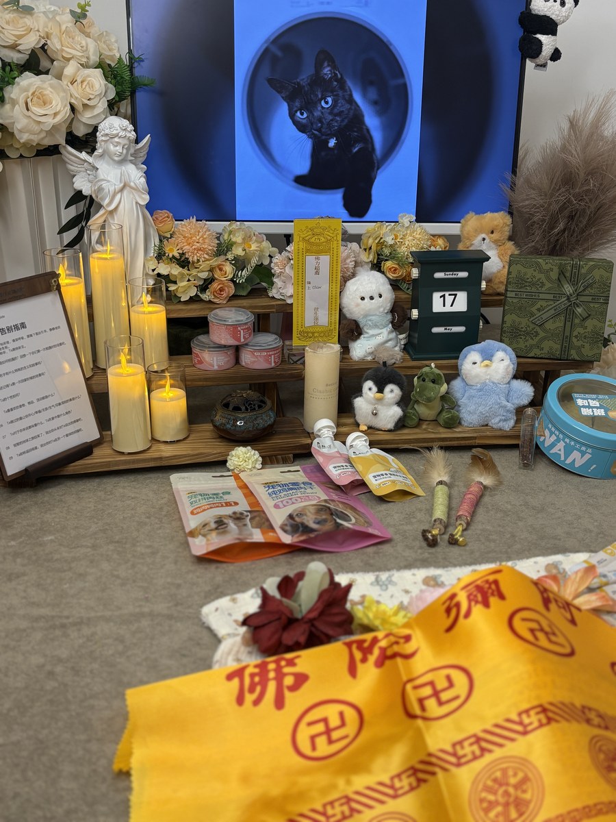 宠物殡葬费用怎么算？成都本地真实价格区间说明