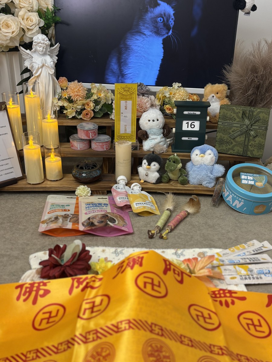成都宠物殡葬服务实拍