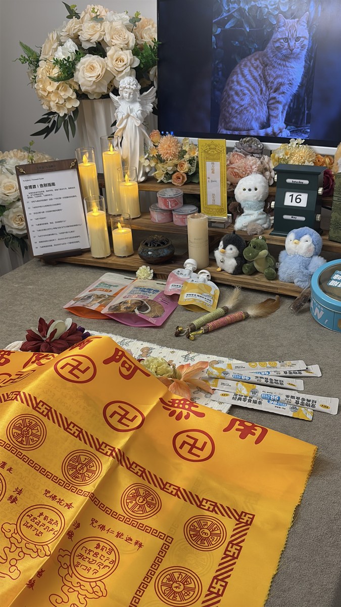 成都宠物殡葬服务实拍