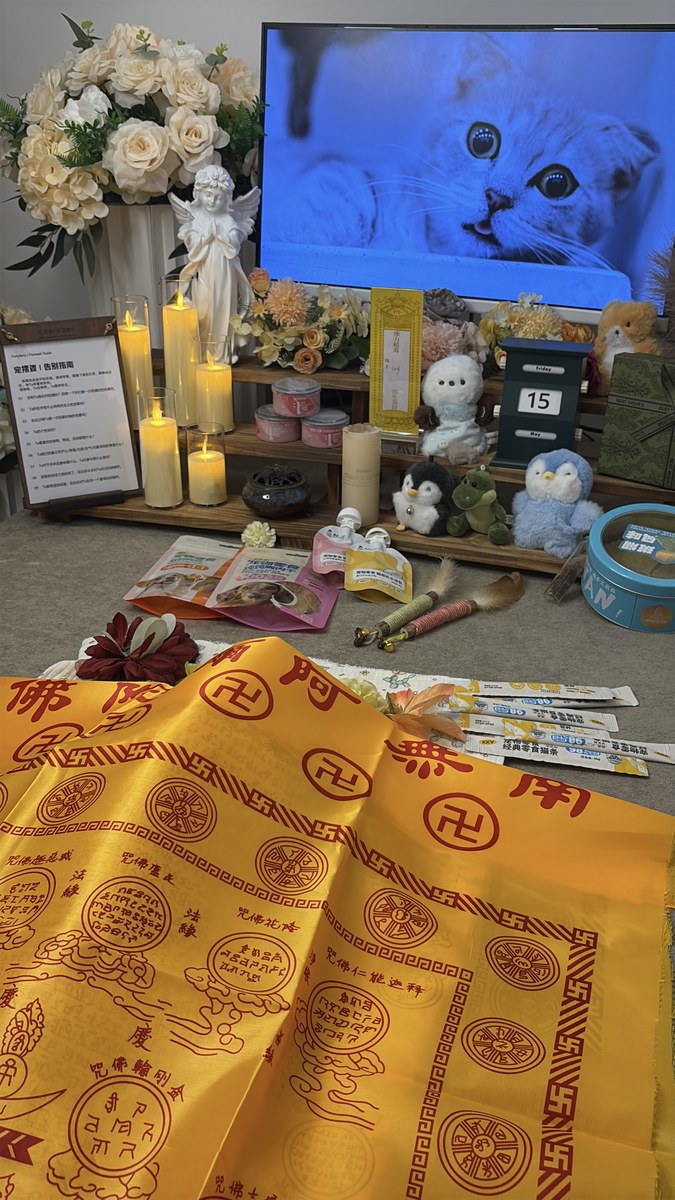 成都宠物殡葬服务实拍