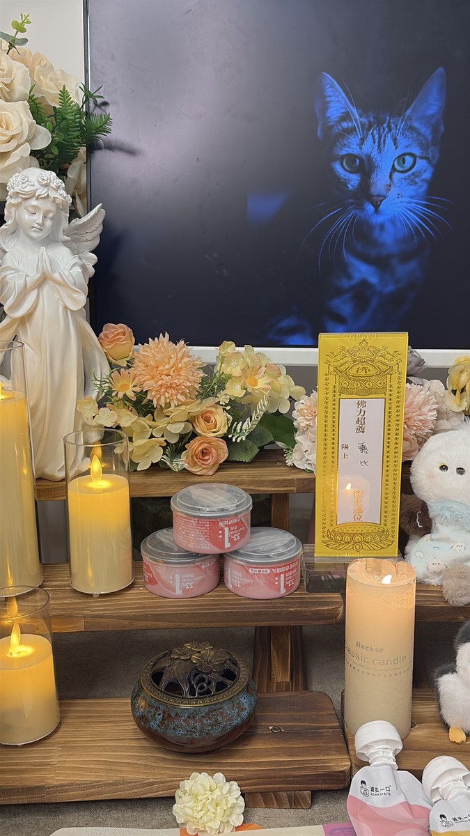 成都宠物殡葬服务实拍
