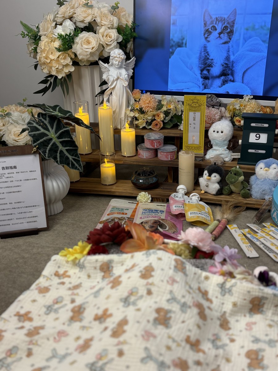 成都宠物殡葬服务实拍