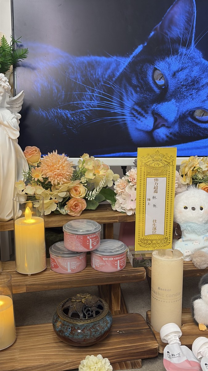 成都宠物殡葬服务实拍