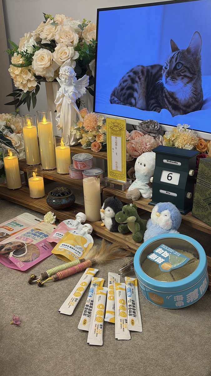 成都宠物殡葬服务实拍