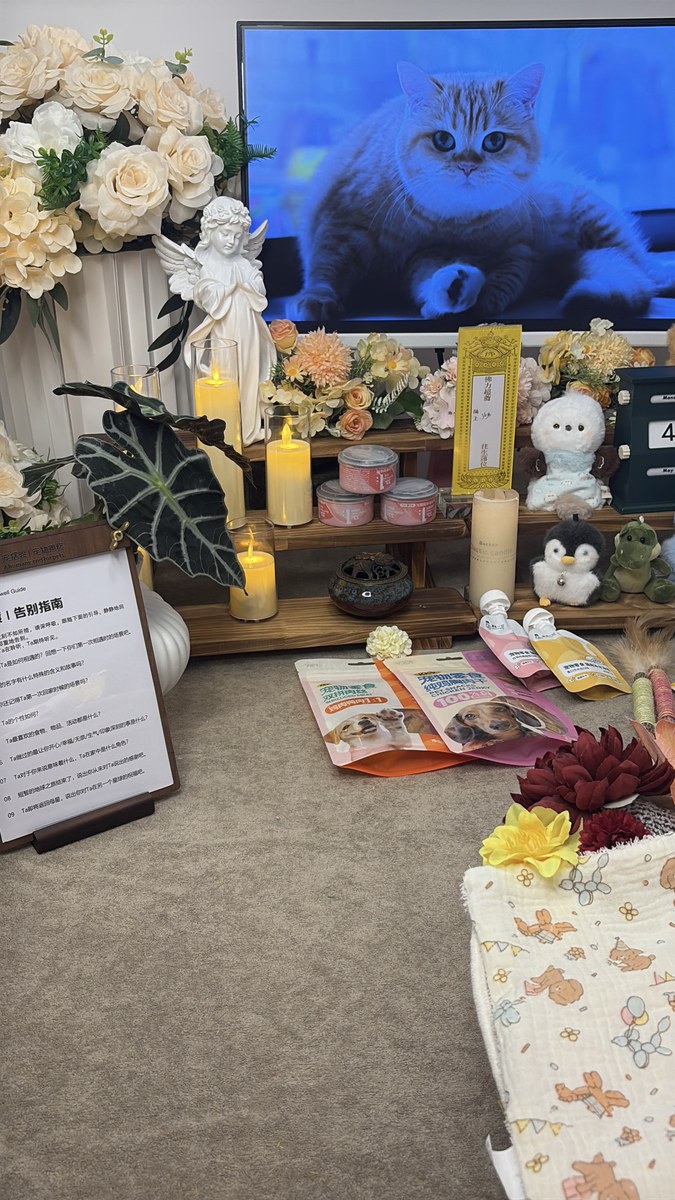 成都宠物殡葬服务实拍