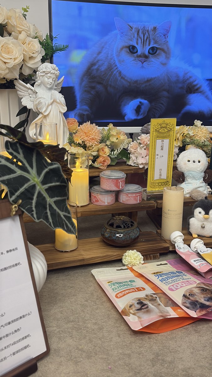 成都宠物殡葬服务实拍