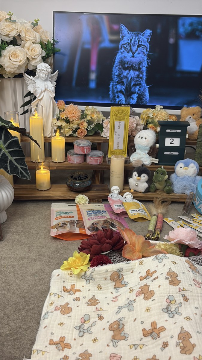 成都宠物殡葬服务实拍