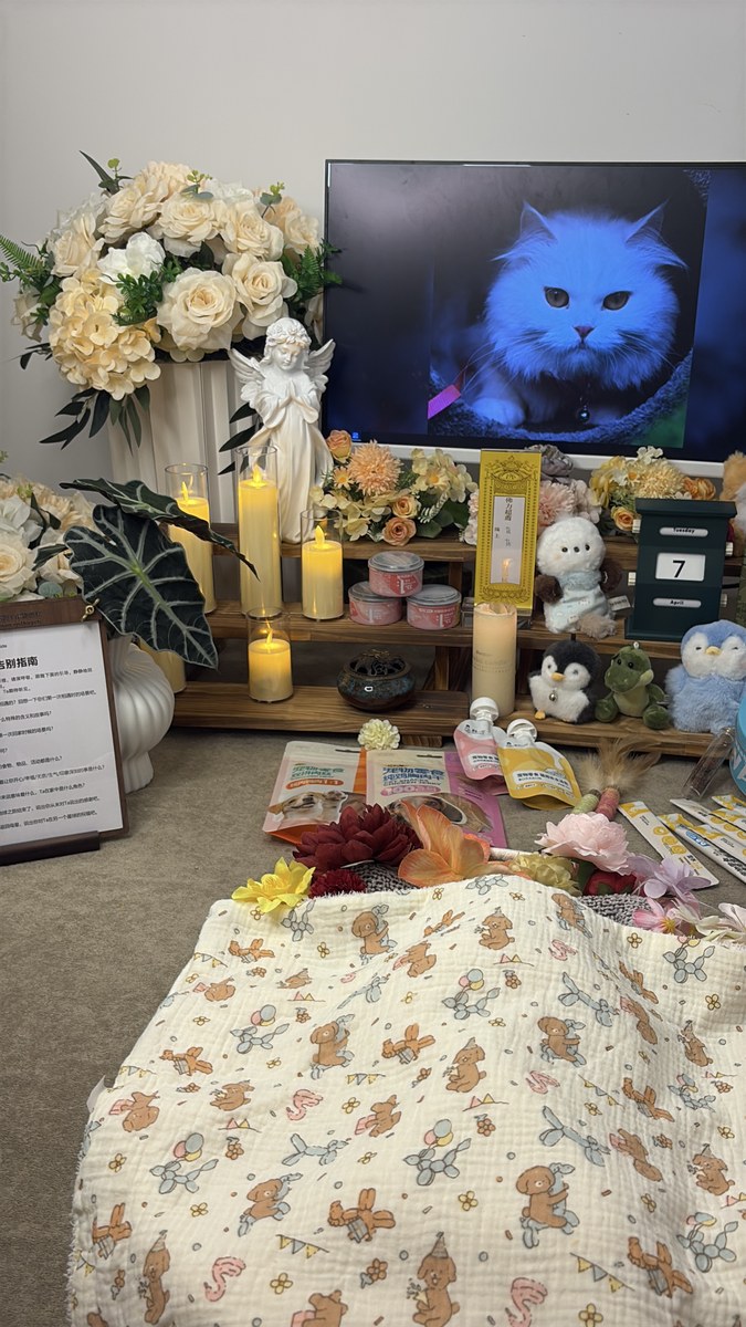 成都宠物殡葬服务实拍
