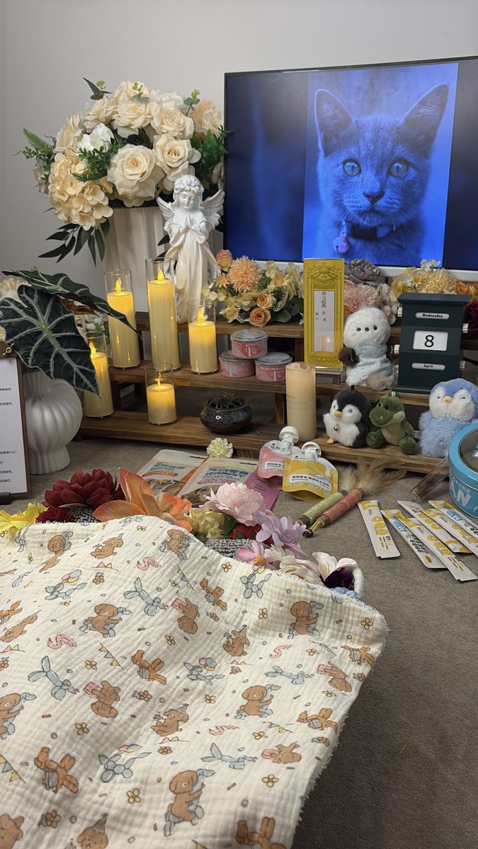 成都宠物殡葬服务实拍