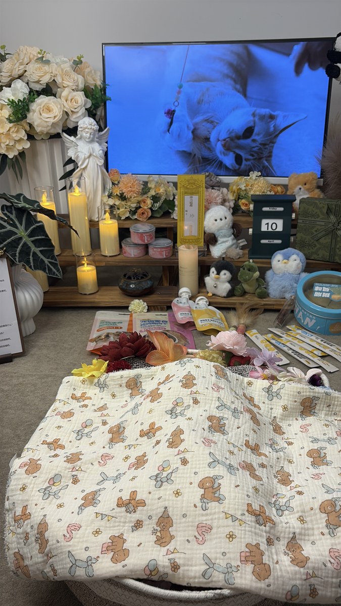 成都宠物殡葬服务实拍
