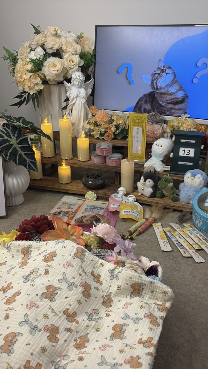 成都宠物殡葬服务实拍