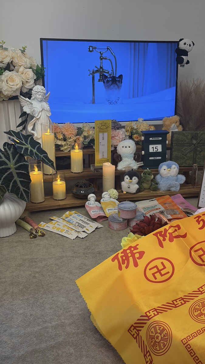 成都宠物殡葬服务实拍