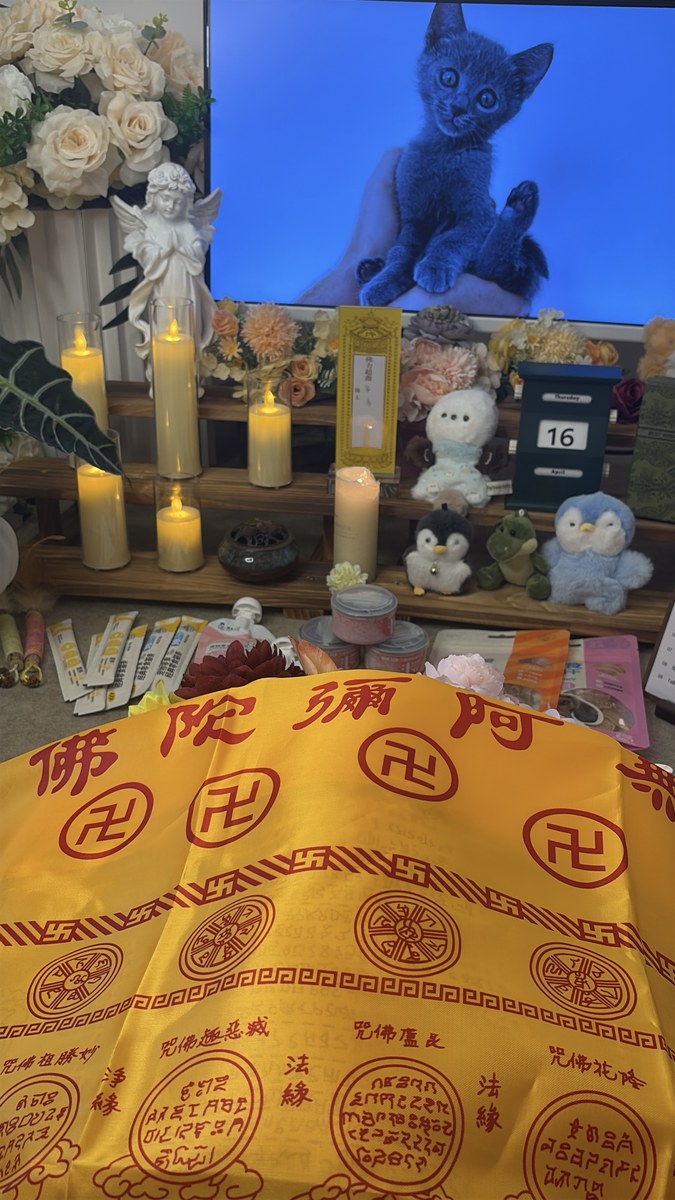 成都宠物殡葬服务实拍