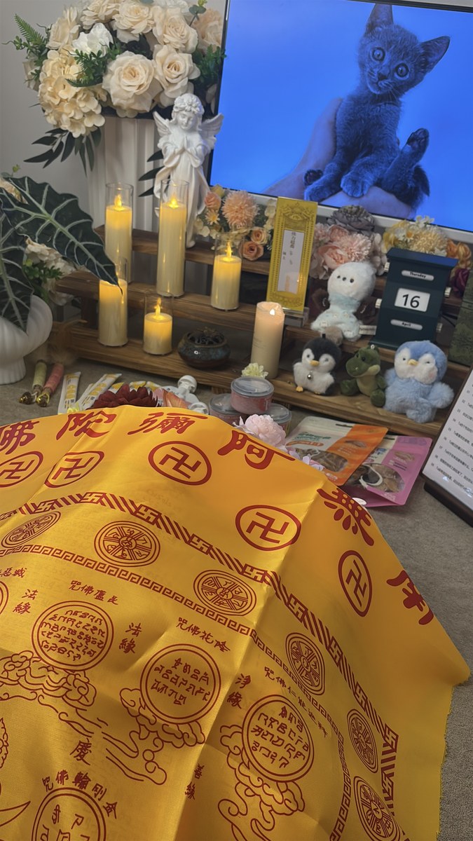 成都宠物殡葬服务实拍
