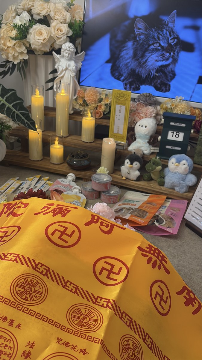 成都宠物殡葬服务实拍